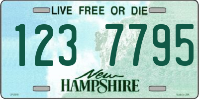 NH license plate 1237795