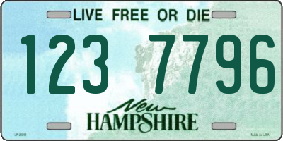 NH license plate 1237796