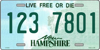 NH license plate 1237801