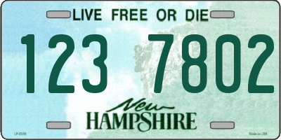 NH license plate 1237802