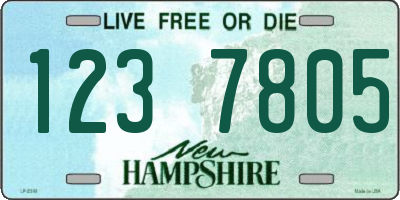 NH license plate 1237805
