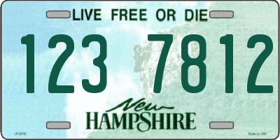 NH license plate 1237812