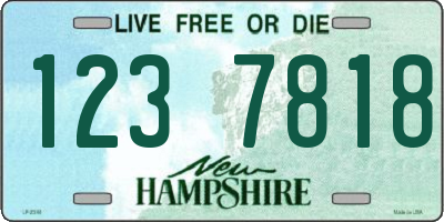 NH license plate 1237818