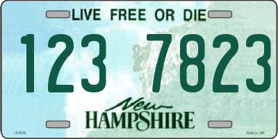NH license plate 1237823