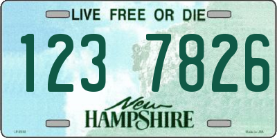 NH license plate 1237826
