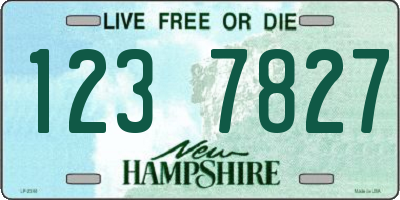 NH license plate 1237827