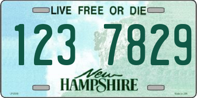 NH license plate 1237829