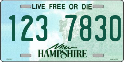 NH license plate 1237830