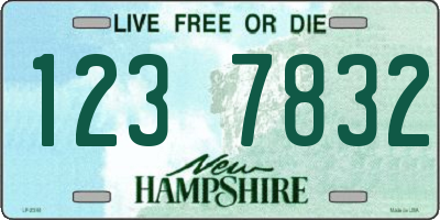 NH license plate 1237832