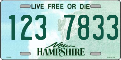 NH license plate 1237833