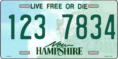 NH license plate 1237834