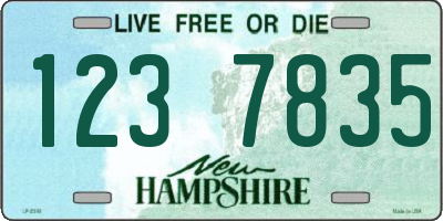 NH license plate 1237835