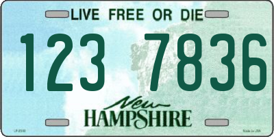 NH license plate 1237836