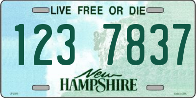NH license plate 1237837