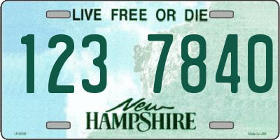NH license plate 1237840