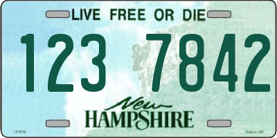 NH license plate 1237842