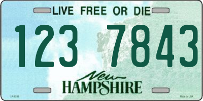 NH license plate 1237843