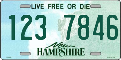 NH license plate 1237846