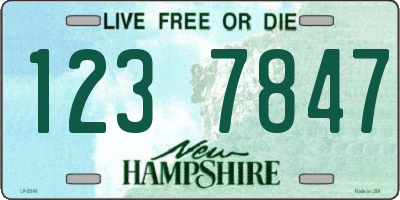 NH license plate 1237847
