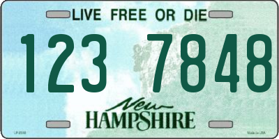 NH license plate 1237848