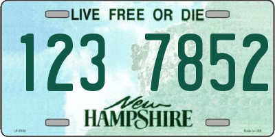 NH license plate 1237852