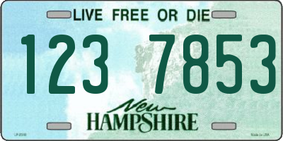 NH license plate 1237853