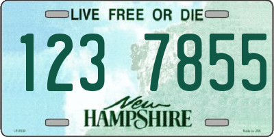 NH license plate 1237855