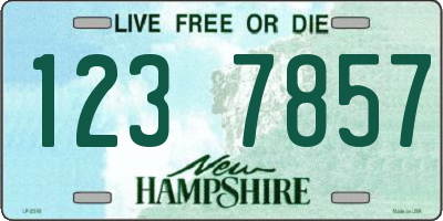 NH license plate 1237857
