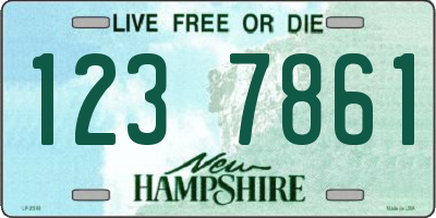 NH license plate 1237861