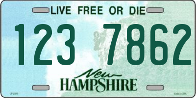 NH license plate 1237862