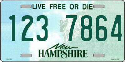 NH license plate 1237864