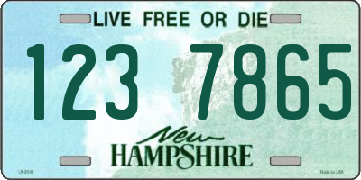 NH license plate 1237865