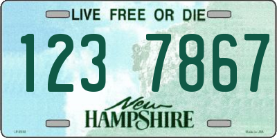 NH license plate 1237867