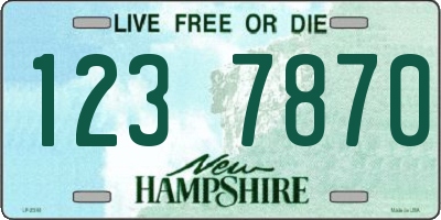 NH license plate 1237870
