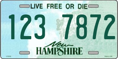 NH license plate 1237872