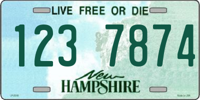 NH license plate 1237874