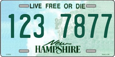 NH license plate 1237877
