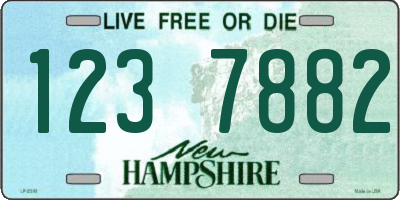 NH license plate 1237882