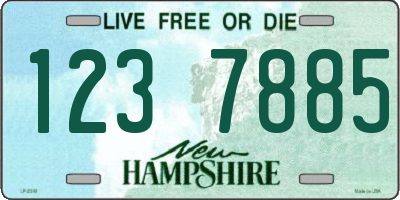 NH license plate 1237885