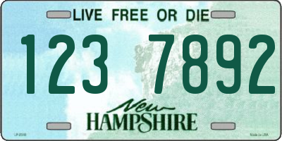 NH license plate 1237892
