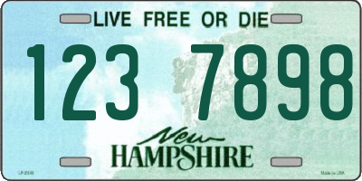 NH license plate 1237898