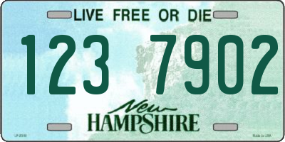 NH license plate 1237902