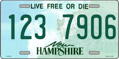 NH license plate 1237906