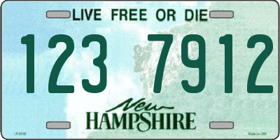 NH license plate 1237912