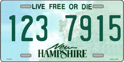 NH license plate 1237915