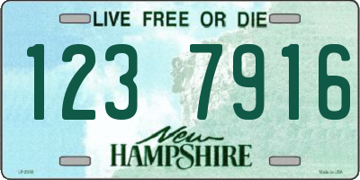 NH license plate 1237916
