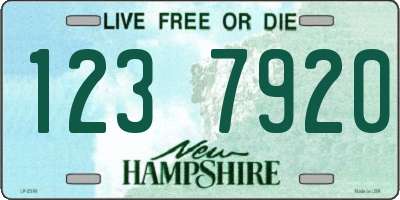 NH license plate 1237920