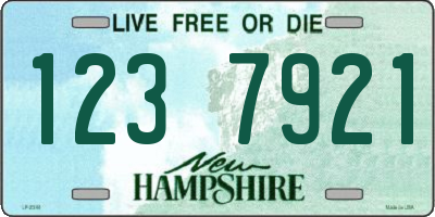 NH license plate 1237921