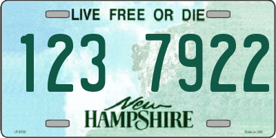 NH license plate 1237922