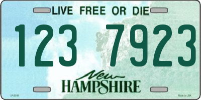 NH license plate 1237923